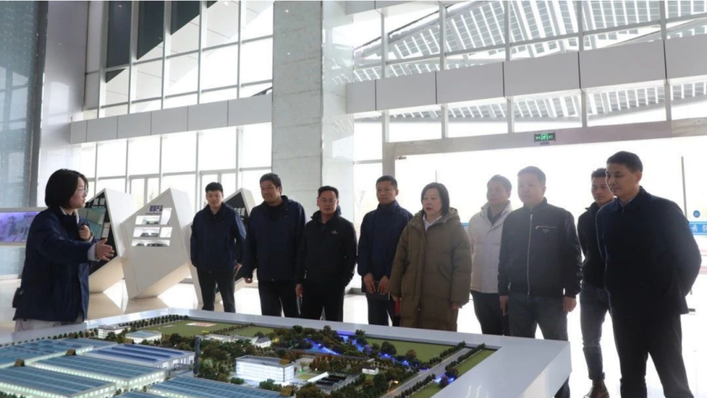 微信图片_20250331164202